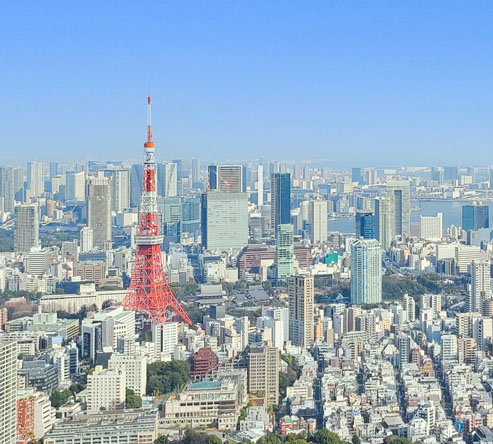 都心部の土地を資産として